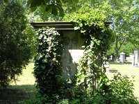 1-46 Horváth - Lossonczy család